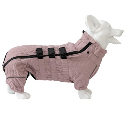 pXm[WPbg _bNXtg h gpR[g rt ˌxXg Wbp[t ߉\ȉOph ~H R[M[ (sN,XS)