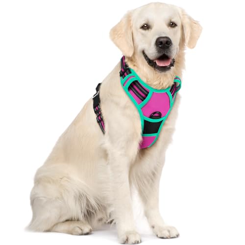 Image of rabbitgoo Dog Harness No Pull with 2 Leash Clips, Adjustable Soft Padded, Reflective Oxford No Choke Pet Vest with Easy Control Handle for Large Dogs, Hot Pink & Turquoise, XL