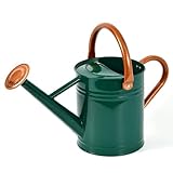 yourjoy Steel Watering Can Sliver Galvanized Steel Watering Can with Copper Accents,Removable Rosette-Diffuser,One-Gallon Green