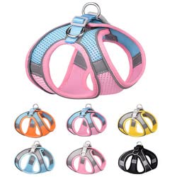 Cat Carrier And Leash Set, Suitable For Walking Cats And Small Dogs, Soft Mesh Carrier, Adjustable Cat Vest Carrier With Reflective Tape (Large,Orange - Blue) #TOP2