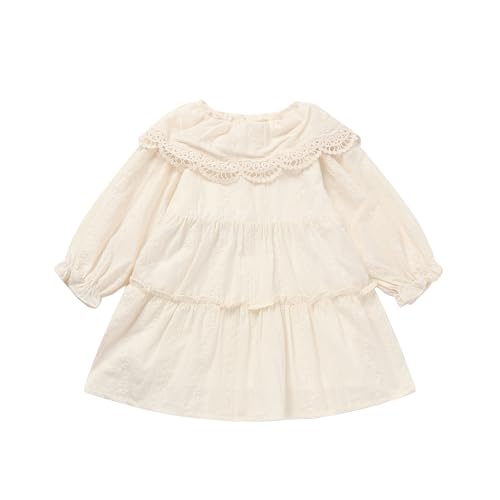 Toddler Girl Embroidered Dress Cotton Lined Eyelet Lace Trim for 12M-6X4