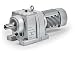 Benchmark SP1217 Gear Motor for 2D Biorocker, 115V