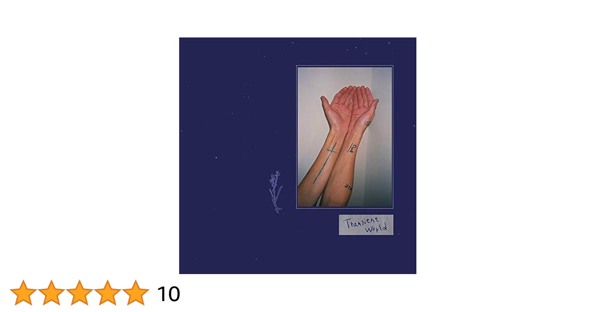 Amazon.co.jp: Transient world: ミュージック