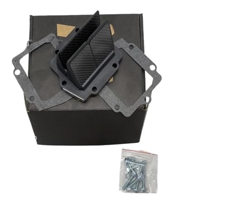Valve à lames pour Kawasaki KX125 et KMX125 bloc clapets d'admission moto