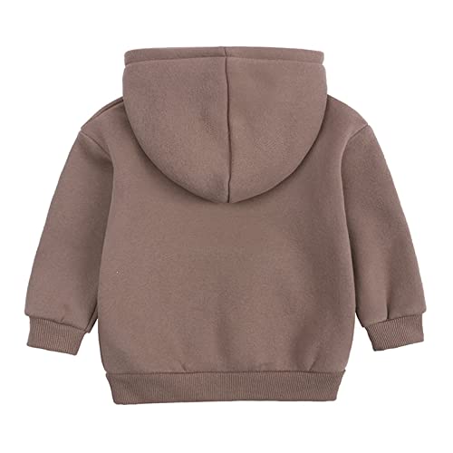 Toddler Thicken Hooded Pullover Sweatshirts Girls Boys Basic Solid Casual Fleece Tops Long Sleeve Fall Winter Warm Teens Tops2