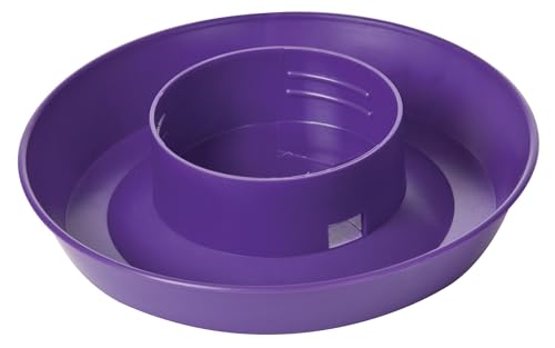 Little Giant® Screw-On Poultry Waterer Base | Heavy Duty Plastic Water Tray Base for Container | Chicken Waterer Screw on Base (Purple, 1 Count)