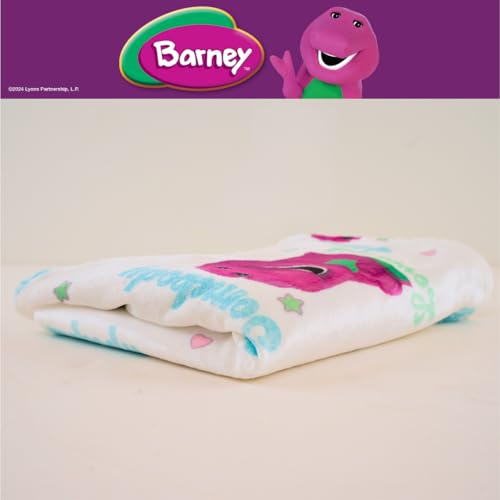 Image of Franco Collectibles Barney Heart Retro Bedding Super Soft Cozy Plush Throw, 46 in x 60 in, (Officially Licensed Product)