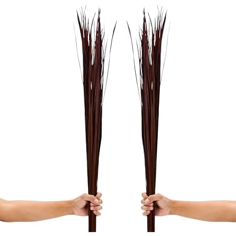 Leewadee Tall Vase Filler, Natural Grass Stems – 2 Bunches of Colored Branches for Vases, Carefully Dried Twigs for Home and Bar Decoration, 45 inches, Bordeaux Cover