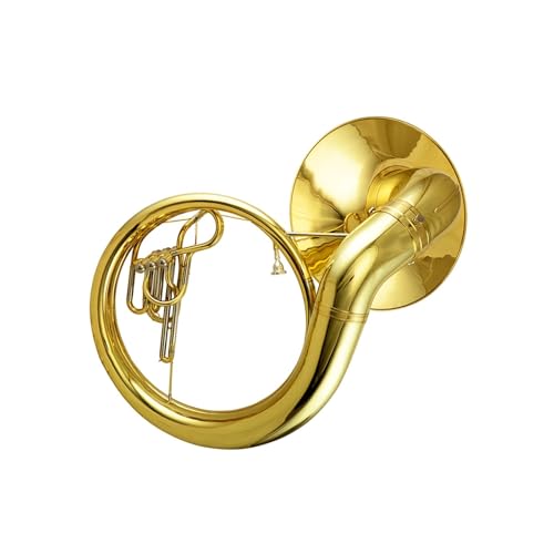 Instrumento Para Tocar El Eufonio Adecuado Para Principiantes O Adultos