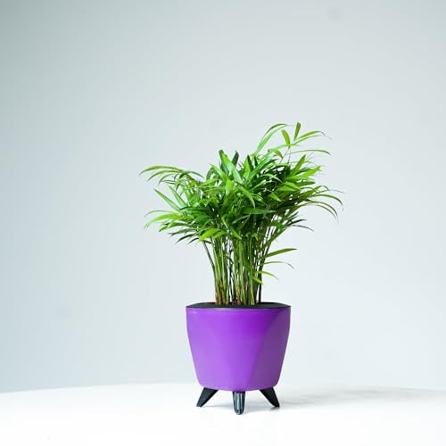 Image of Garden Art (Pack of 3 Indoor Outdoor Self Watering Planter Home Living Room Office Tabletop Decorative Plastic Flower Pot 5.1 Inch (Purple, 3) PPLAPL