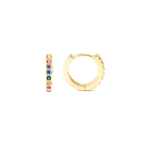 LUXENTER Pendientes Leofcar Plata De Ley 925