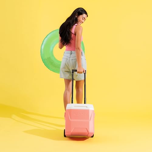 Image of Igloos Cooler Hard-Sided Ice Chest, Insulated Portable Cooler, Heavy-Duty, Leak-Resistant Lid, Lightweight Ergonomic Handle