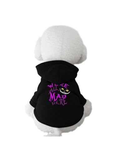 ybg svc̍̃AX `FVL  p[J[ hbOEFA  L _炩 ybgEFA H~p h [EFA o U ё΍ 2XL