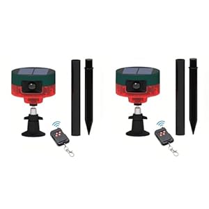 Lancoon 2 Pack Solar Motion Sensor ...