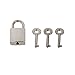 Mini Metal Lock - Zinc Replacement Pad-Lock with Keys, Mirror Glossy (Silver)