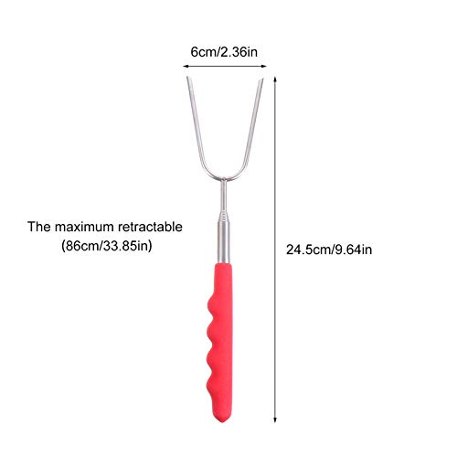 Espetos extensíveis de aço inoxidável Hemoton 5 peças para grelhar acampamento