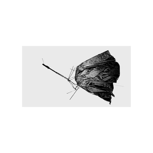 Walgreens' Collapse and the Future of Healthcare cover art