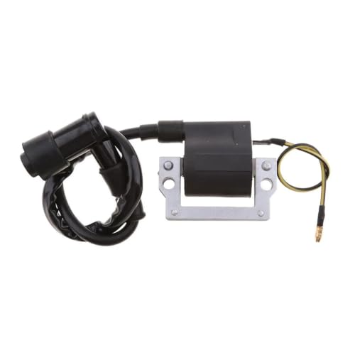 Bobine d'allumage pour Yamaha LB50 RS100 DT100 DT125 moto