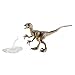 Jurassic World Toys Amber Collection Velociraptor Dinosaur Figure Collectible Toy 6-in Scale, Posable Joints, Authentic Look & Stand for 8 Years Old & Up
