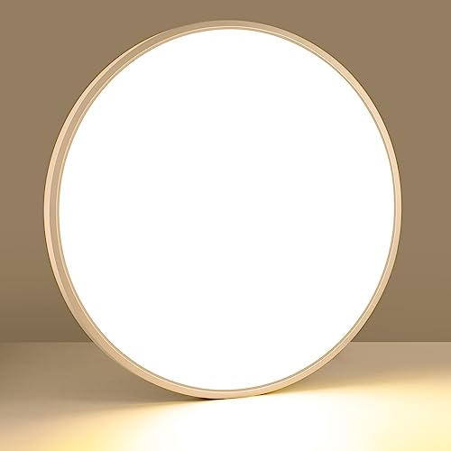 LightingWill 24 Inch LED Flush Mount Ceiling Light Fixture, 2800K Warm White, 5600LM, 45W, Flat Modern Round Lighting Fixture, 400W Equivalent White Ceiling Lamp for Kitchens, Bedrooms.etc.