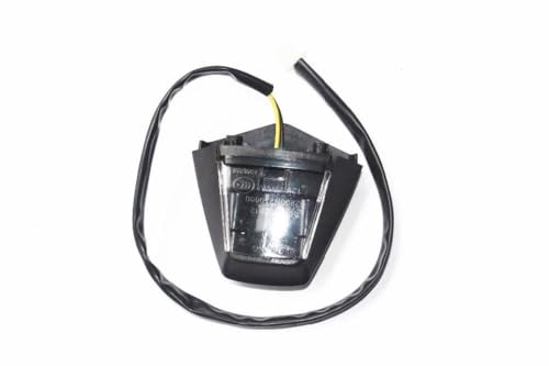 Lampe de plaque arrière pour BN302 TNT300 STELS300 moto