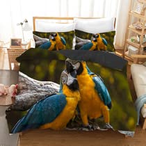 Housse de couette 240 x 260 jaune perroquet pour illuminer votre chambre d'adulte