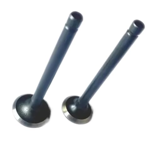 Soupapes de rechange EX21 EX17 pour fuite de compression