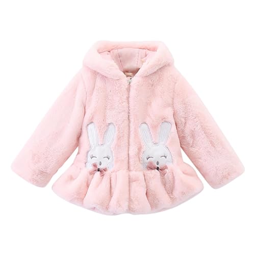 Cartoon Fleece Full Zip Coat for Baby Girls Hooded Long Sleeve Thick Plush Jacket Toddler Girls Cute Windproof Outwear