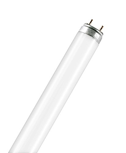 Osram Fluora T8 G13 L 18 W/77 Lampada fluorescente...