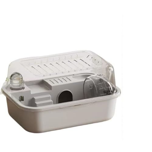 DancJulie nX^[P[W  pnEX AN eCNAEg w  B (fbNX X^[[O[ [EH[^[{gAvbgtH[AjOzC[t])