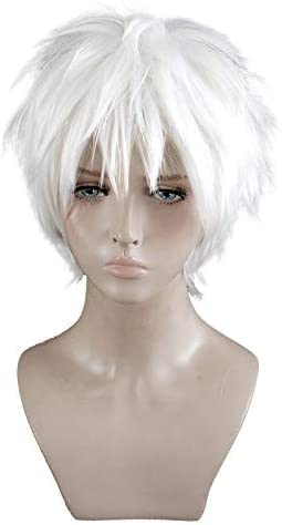 コンパス ソーン Lサイズ コスプレ 衣装➕セット済ウイッグ Amazon.co.jp: フルセット コスプレ衣装 コンパス 戦闘摂理解析