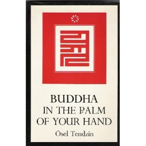 Paperback BUDDHA IN PALM OF HAND Book