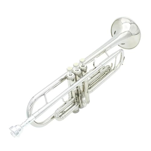 gybgy vtFbVi gybg ^J ~[WJ gybg Ǌy O[uNX XgbvP[X KȊG