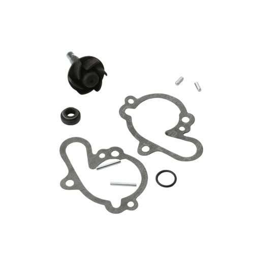 Kit de réparation de pompe à eau AM6 2T 50cc RS1 RS2 100110080