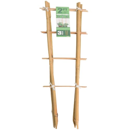 Save 20% on a 3-Pack of Natural Bamboo Plant Trellises