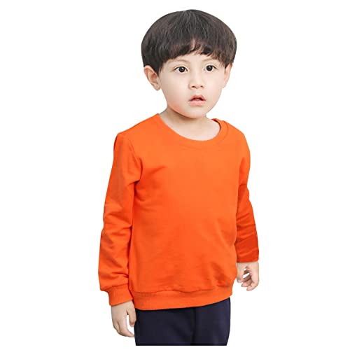 Little Boys Crewneck Sweatshirt Long Sleeve Solid Tops For Kids Boys' Pullover Hoodie Sweatshirt2