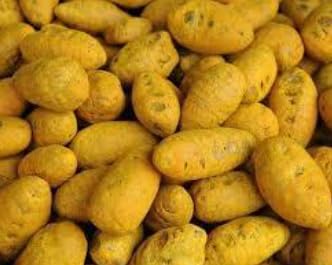 Pmw - Mother Turmeric Bulbs - Uncoloured - Haldi - Dumpa Pasupu - from Farms of Tamilnadu - 250 Grams
