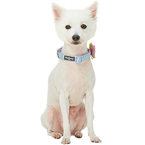 Blueberry Pet Adjustable Flocking Dog Collar With Artificial Silk Flower - Polka Dot In Pastel Purple, Medium, Neck 14.5"-20" #TOP2