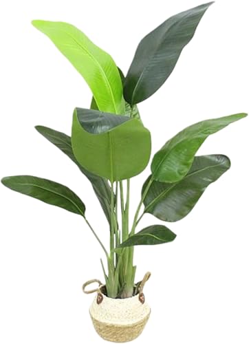 Dohera lHϗtA lHO[ G} A̖ ^[O[Aؔ vX`bN V~[V i`  y b炸 ͂Ȃ sv tFCNA lH gݗĂȒP CeA Ϗܗp ƒp Ɩp