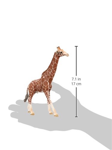 schleich 14749 Giraffenbulle, für Kinder ab 3+ Jahren, WILD LIFE - Spielfigur – Bild 6