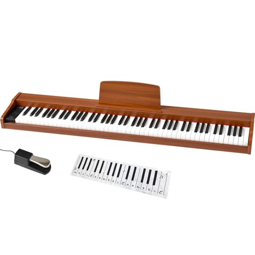 TORTE ge dqsAm ؖڒ XfUC 88 TDP-SP03/LB CguE [ʗEy_EdA_v^[E戵ENX]