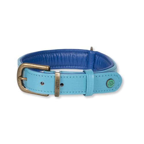 Dog with a Mission - Hundehalsband S | Sky | Blau mit Herzen | Boho und Hippie | Ideal für mittelgroße Hunde | Handgemacht | Modisch und Bunt | Aus weichem Echtes Leder | 2,5 cm Breit