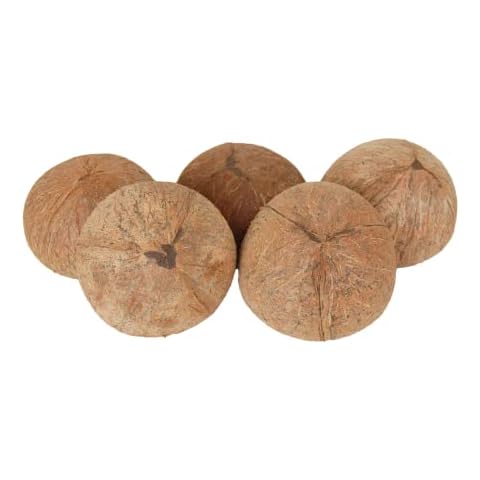 Natural Coconut Shell Bowls for Creativity Cover