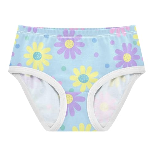Aesthetic Toddler Underwear Floral 2t Cotton Cute Panties Girl Pastel Daisies Polka Dots Light Blue Briefs Undies Kids