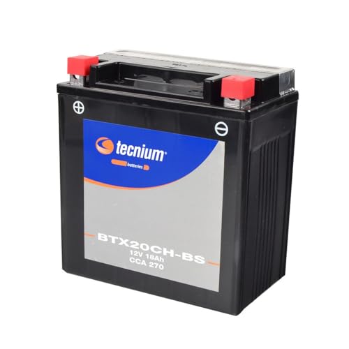 TECNIUM Wartungsfreier TECNIUM Akku mit Acid Pack - BTX20CH-BS 165 cm