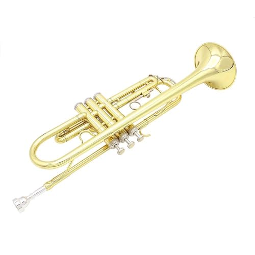 gybg S BtbgǊy 2F gybg P[X Xgbv }EXs[X yANZT[ ^J(Color:Gold)