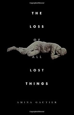 The Loss of All Lost Things by Amina Gautier (2016-02-01)
