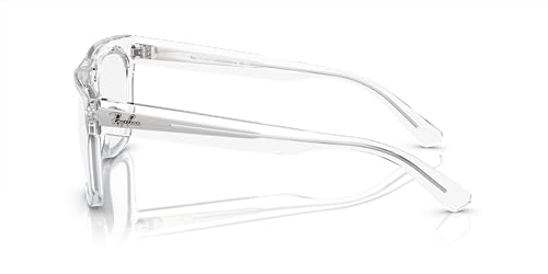 Ray-Ban RB4426 Phil Polarized Square Sunglasses3