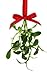 Fresh Mistletoe