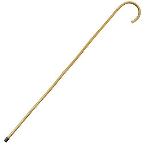 Best Cheap Cane For Kids